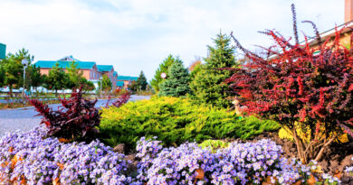 Наша история Наша история